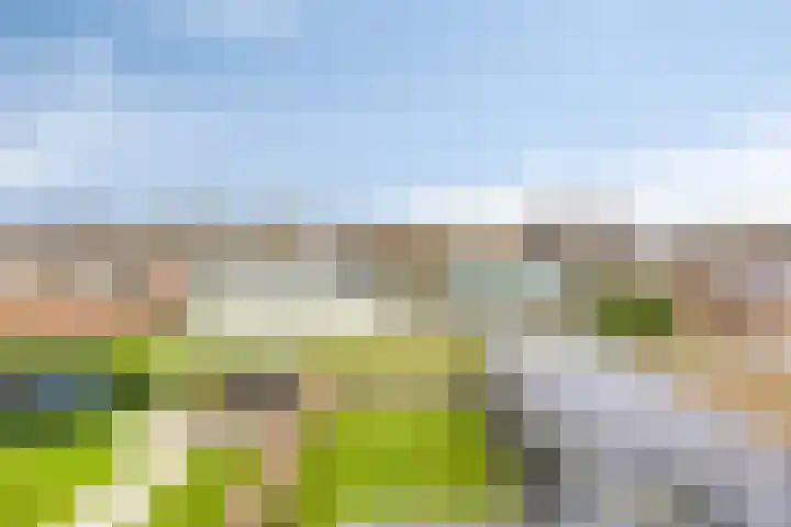 Buurtlaan oost 137 Veenendaal thumbnail 37