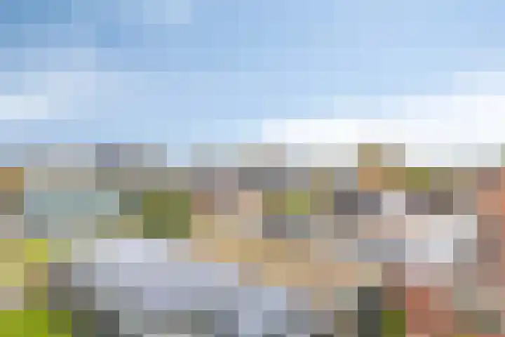 Buurtlaan oost 137 Veenendaal thumbnail 39