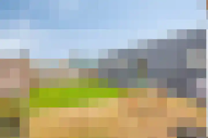 Buurtlaan oost 137 Veenendaal thumbnail 40