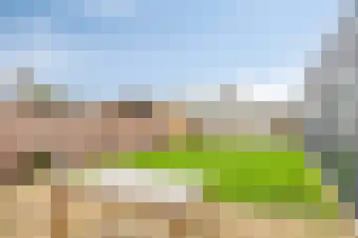 Buurtlaan oost 137 Veenendaal thumbnail 41