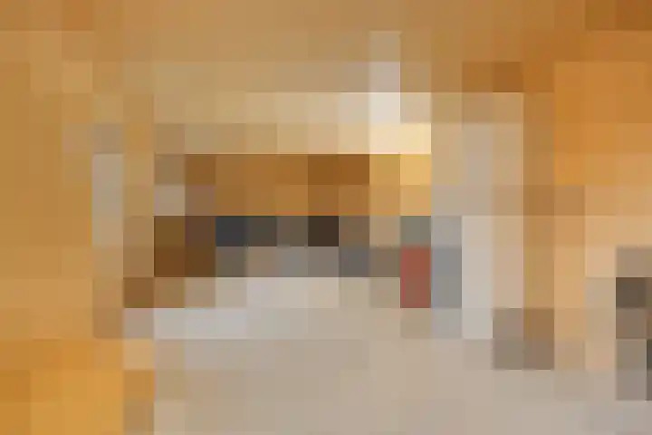 Buurtlaan oost 137 Veenendaal thumbnail 43