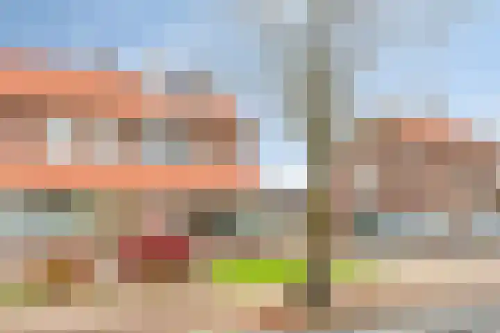 Buurtlaan oost 137 Veenendaal thumbnail 45
