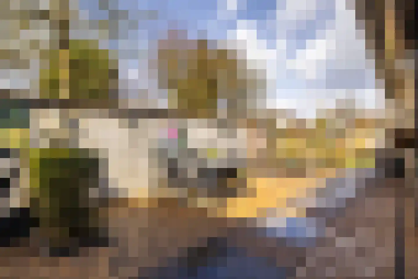 Buurtlaan west 51 Veenendaal thumbnail 34