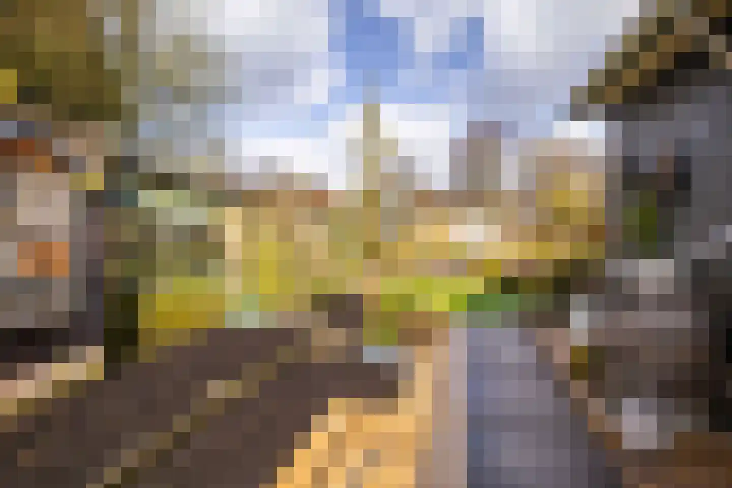 Buurtlaan west 51 Veenendaal thumbnail 35