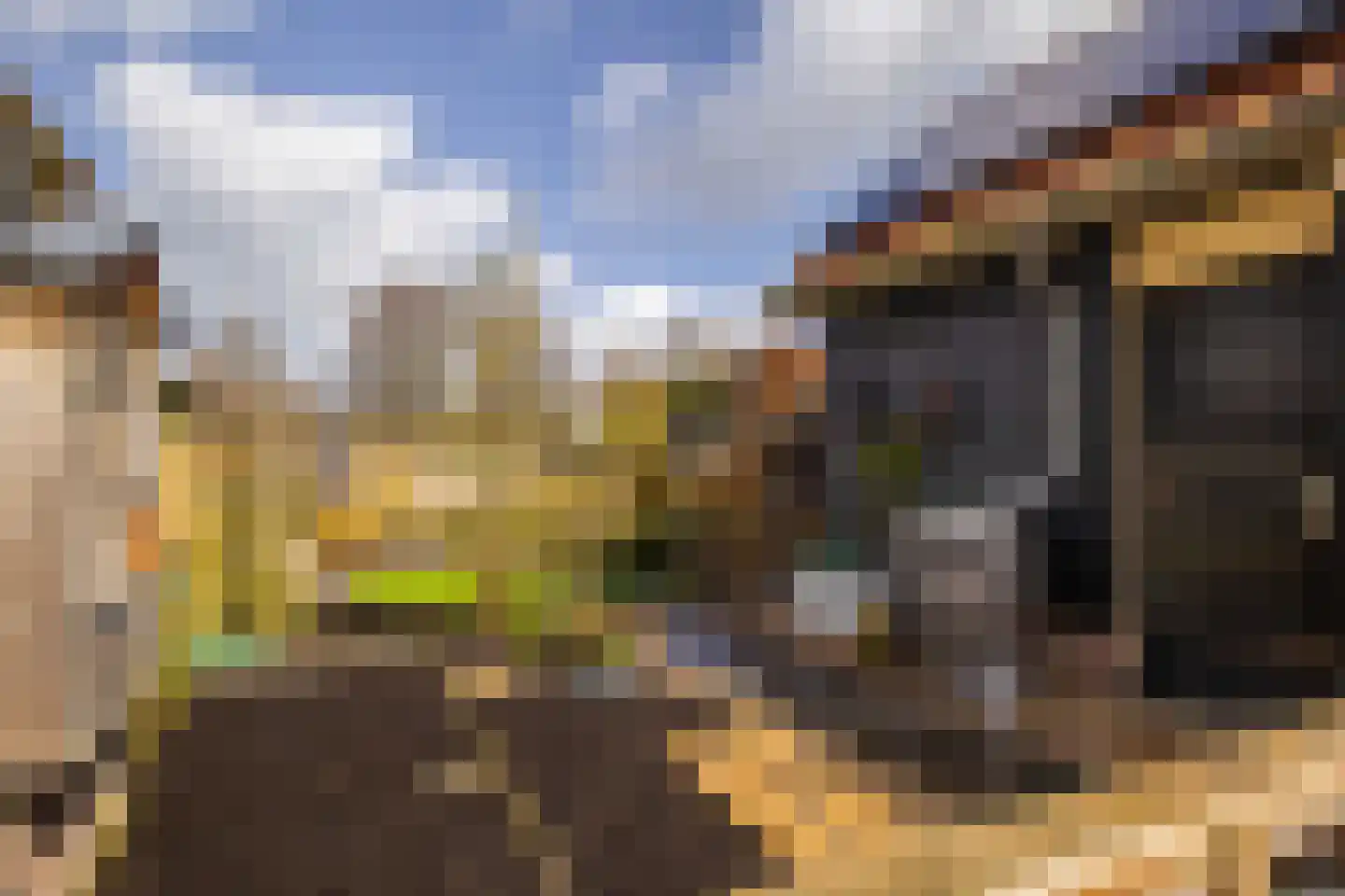 Buurtlaan west 51 Veenendaal thumbnail 38