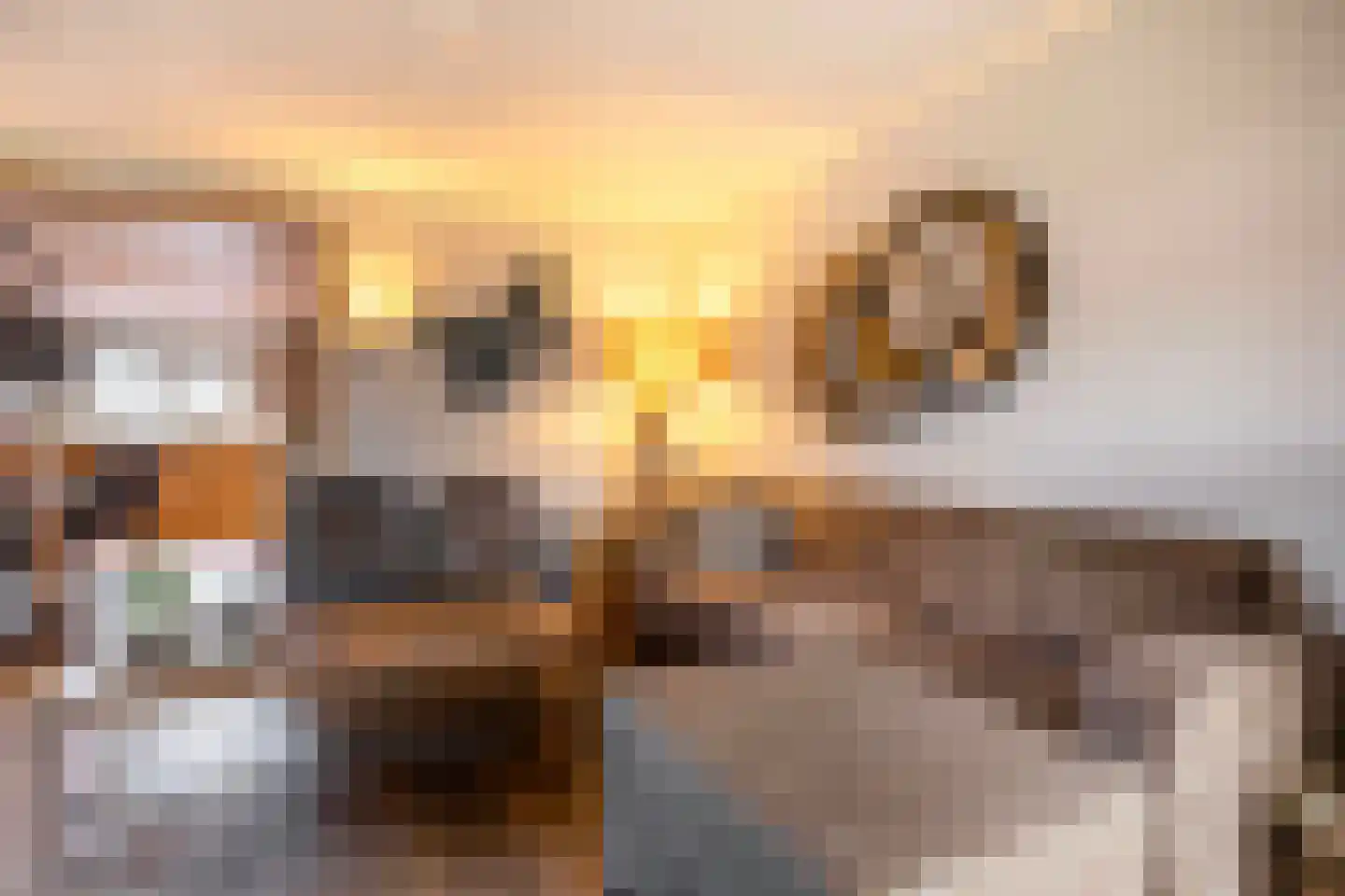 Buurtlaan west 51 Veenendaal thumbnail 8