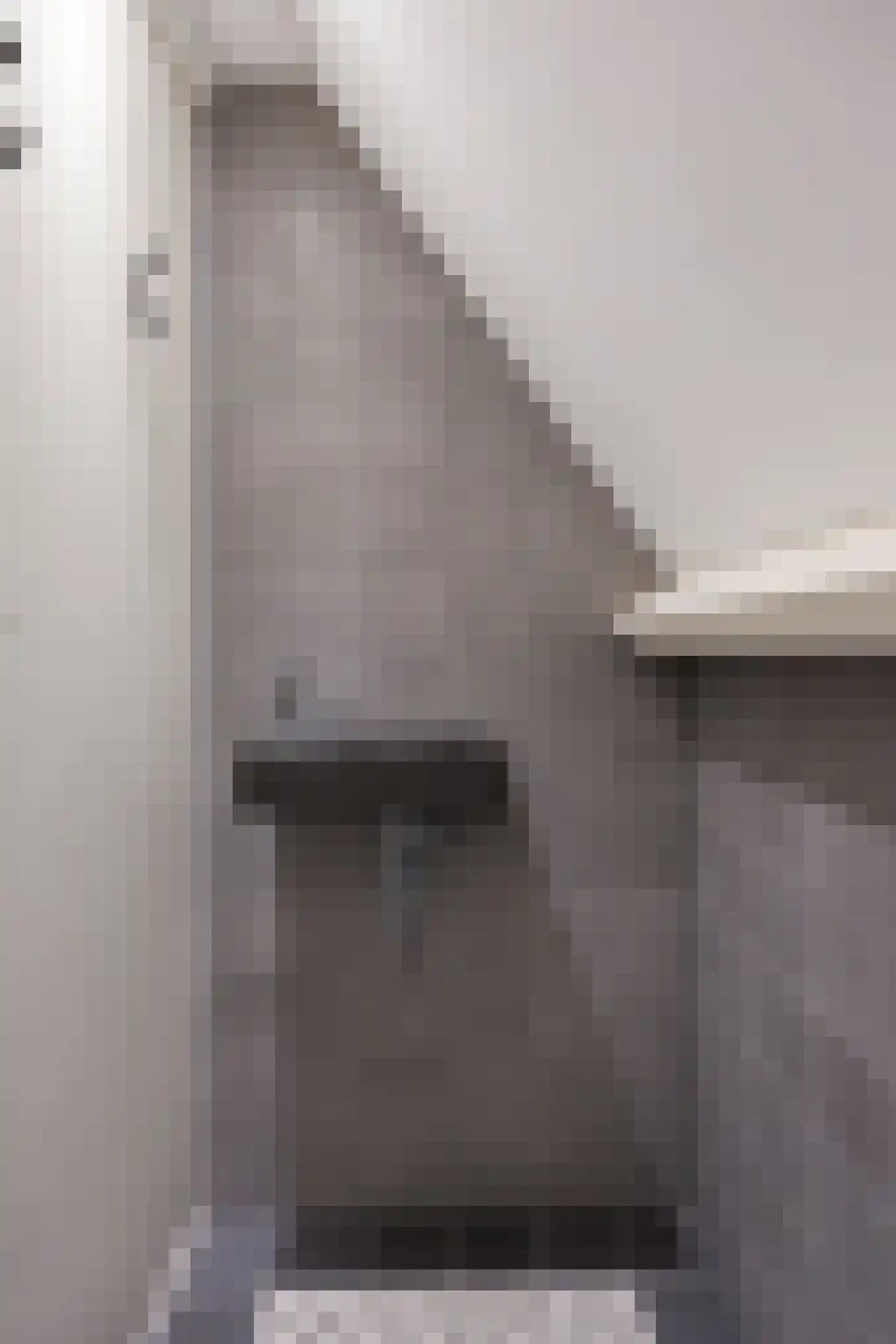 Buurtlaan west 52 Veenendaal thumbnail 38