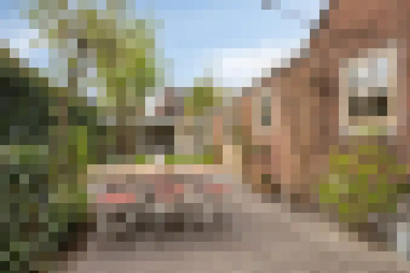 Buurtlaan west 52 Veenendaal thumbnail 43