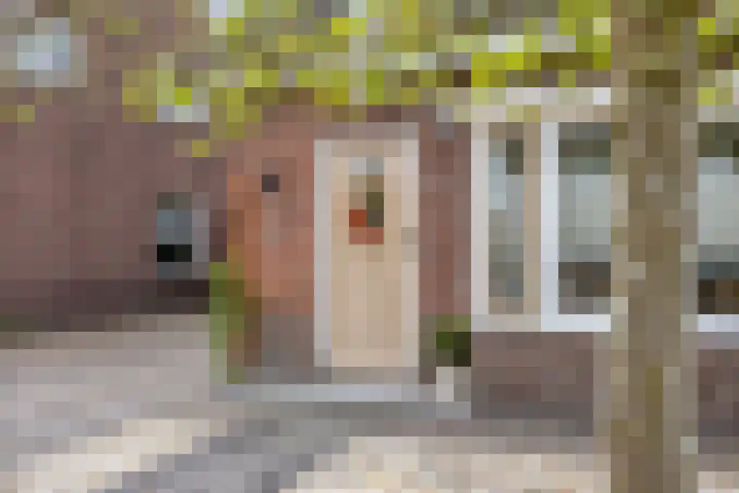 Buurtlaan west 52 Veenendaal thumbnail 51