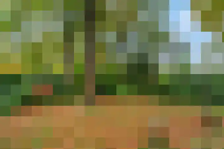 Buurtmeesterweg 42 Ede thumbnail 23