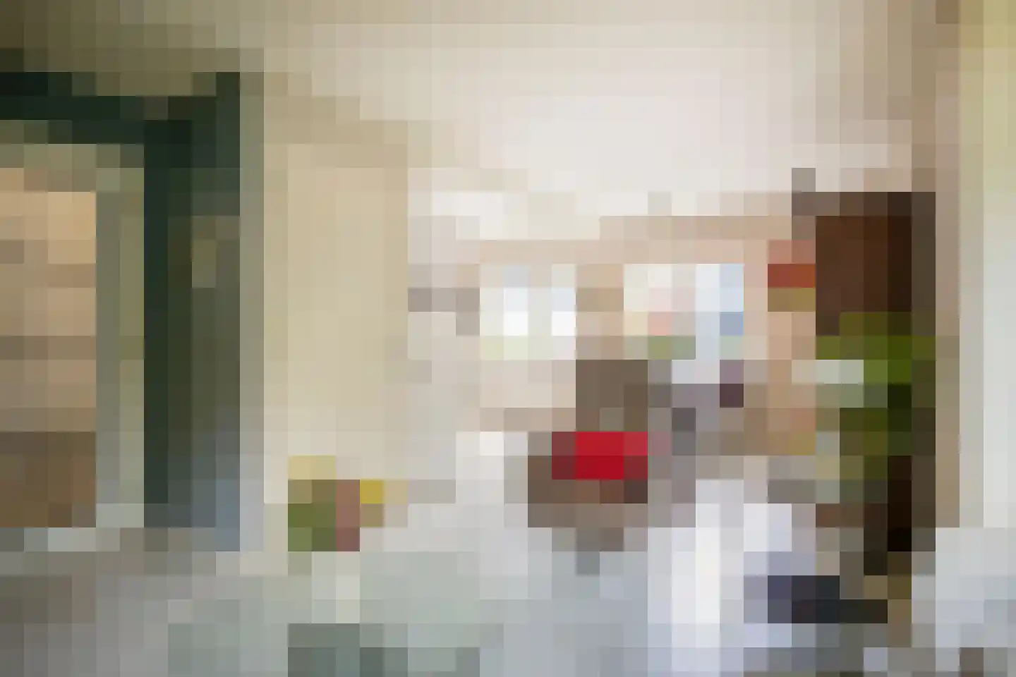 Buurtmeesterweg 46 Ede thumbnail 12