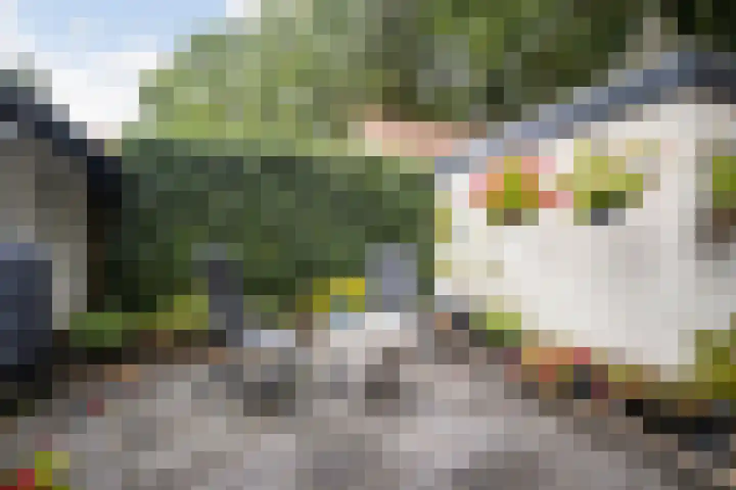 Buurtmeesterweg 46 Ede thumbnail 41