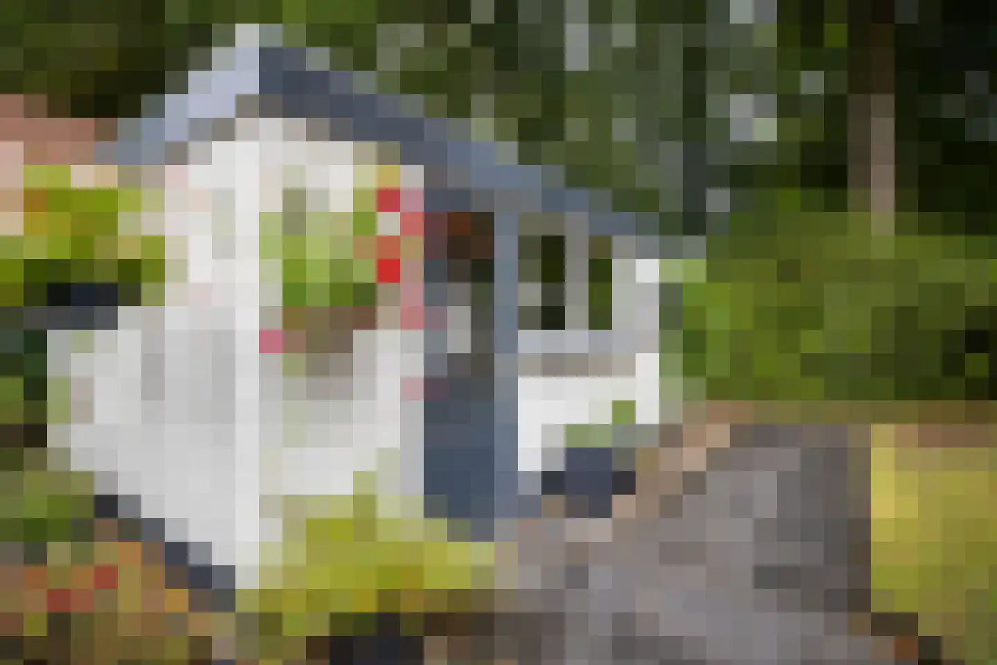Buurtmeesterweg 46 Ede thumbnail 45