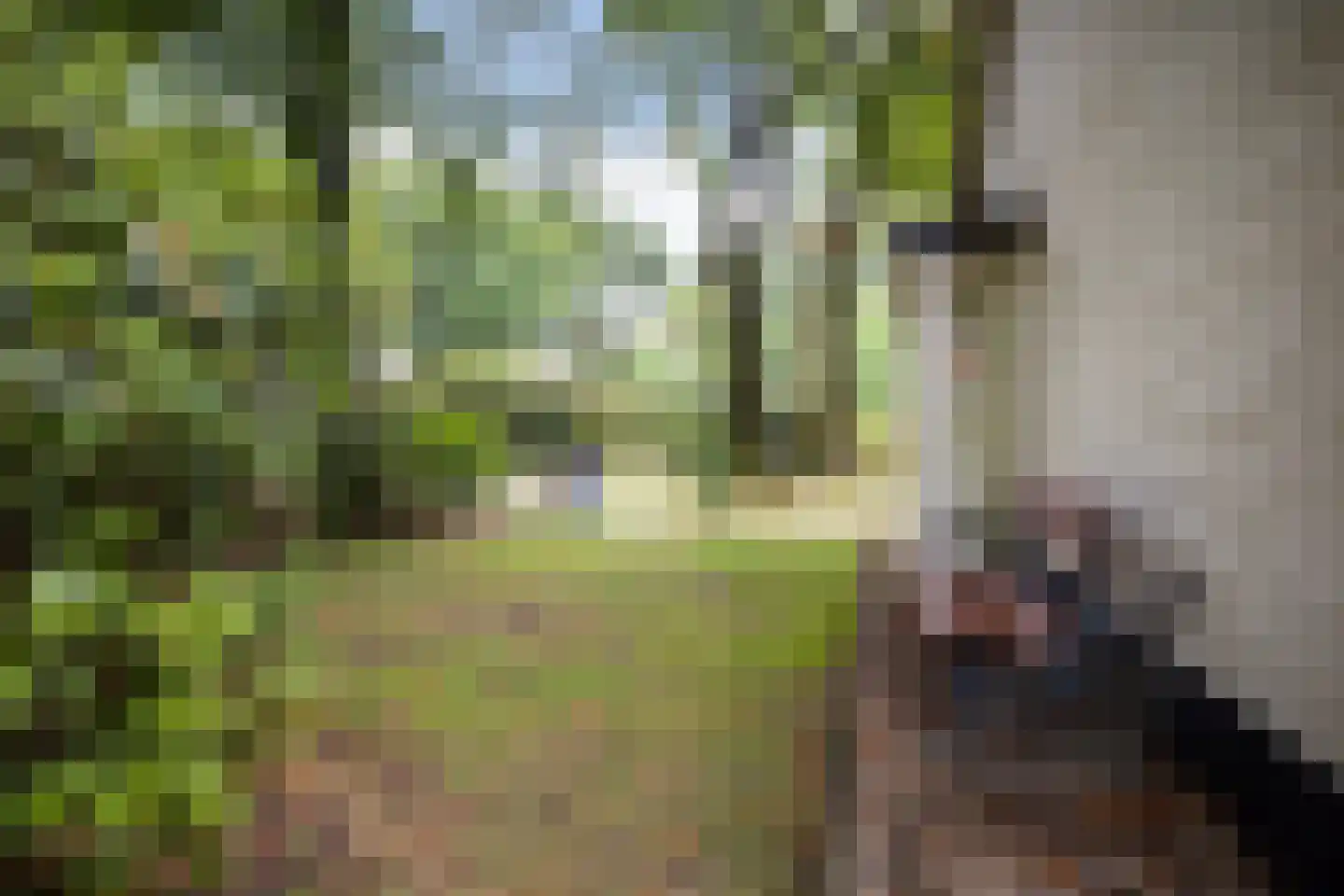 Buurtmeesterweg 46 Ede thumbnail 50