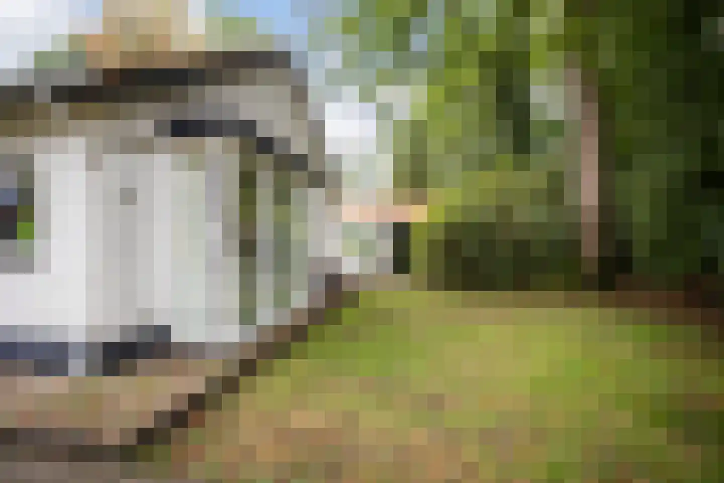 Buurtmeesterweg 46 Ede thumbnail 51