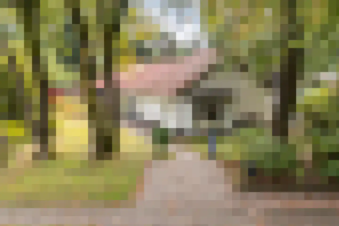Buurtmeesterweg 46 Ede thumbnail 58