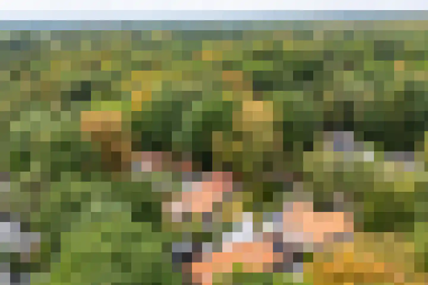Buurtmeesterweg 46 Ede thumbnail 62