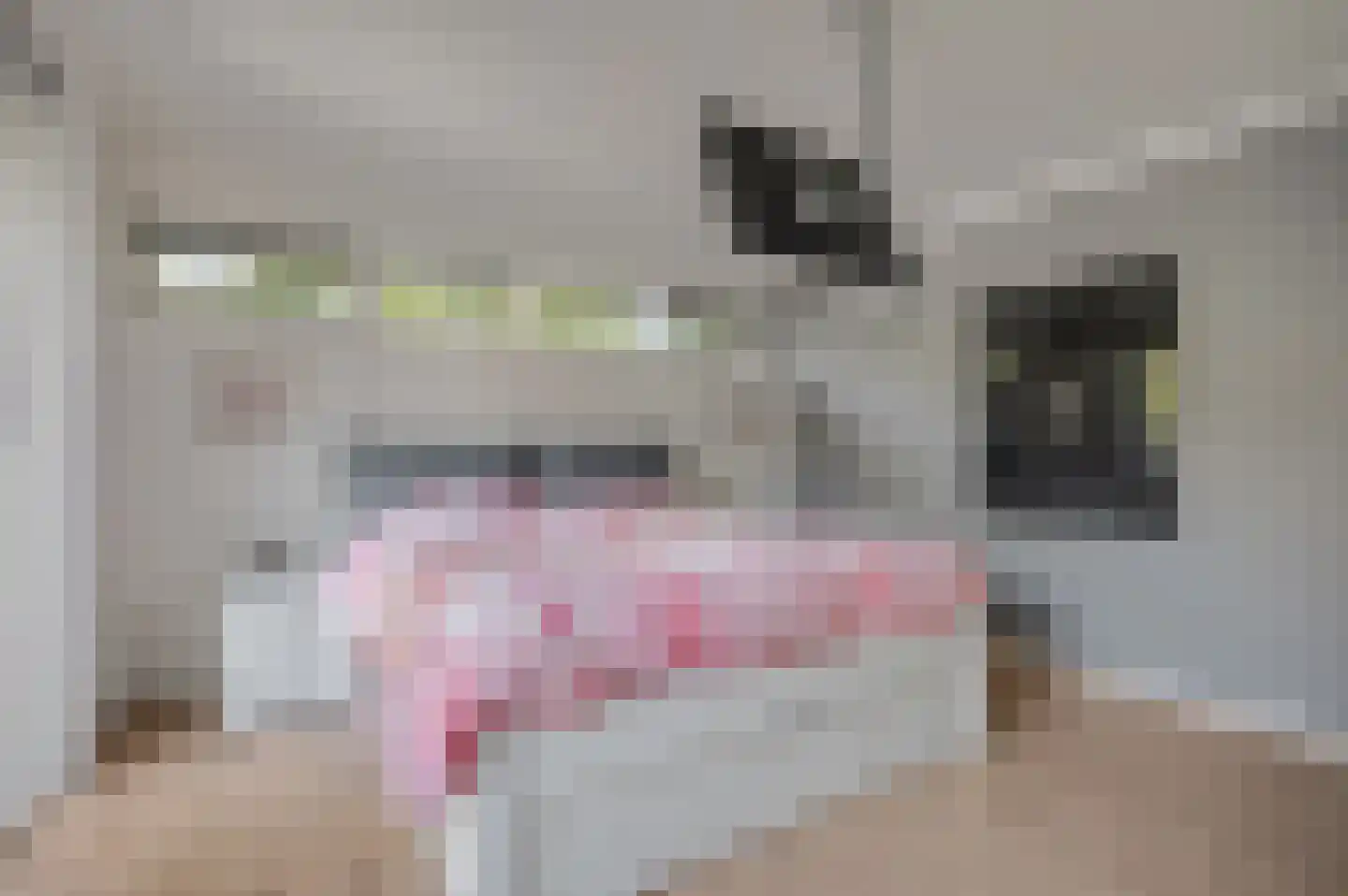 Buurtscheuterlaan 19 Ede thumbnail 10