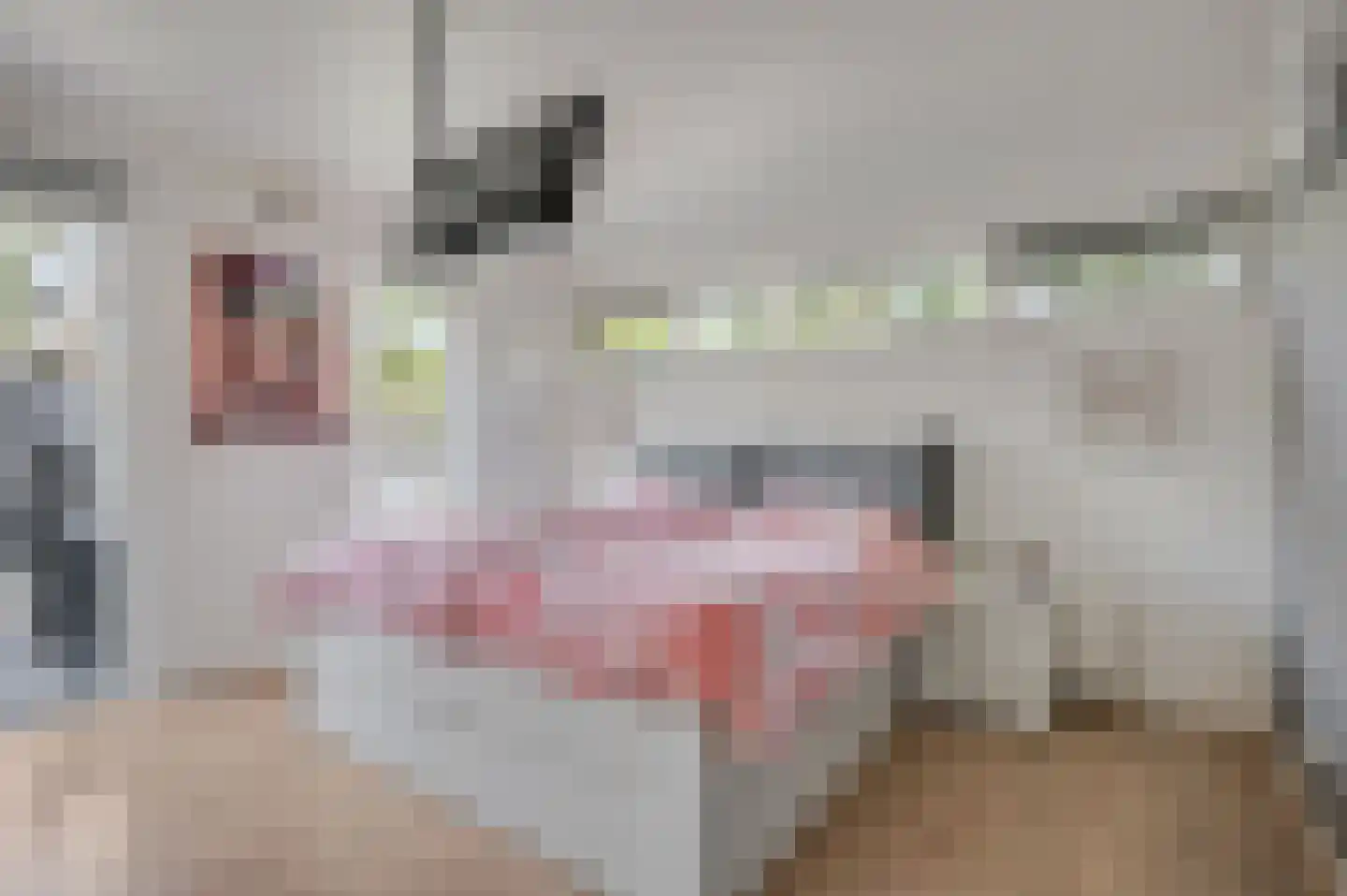 Buurtscheuterlaan 19 Ede thumbnail 11