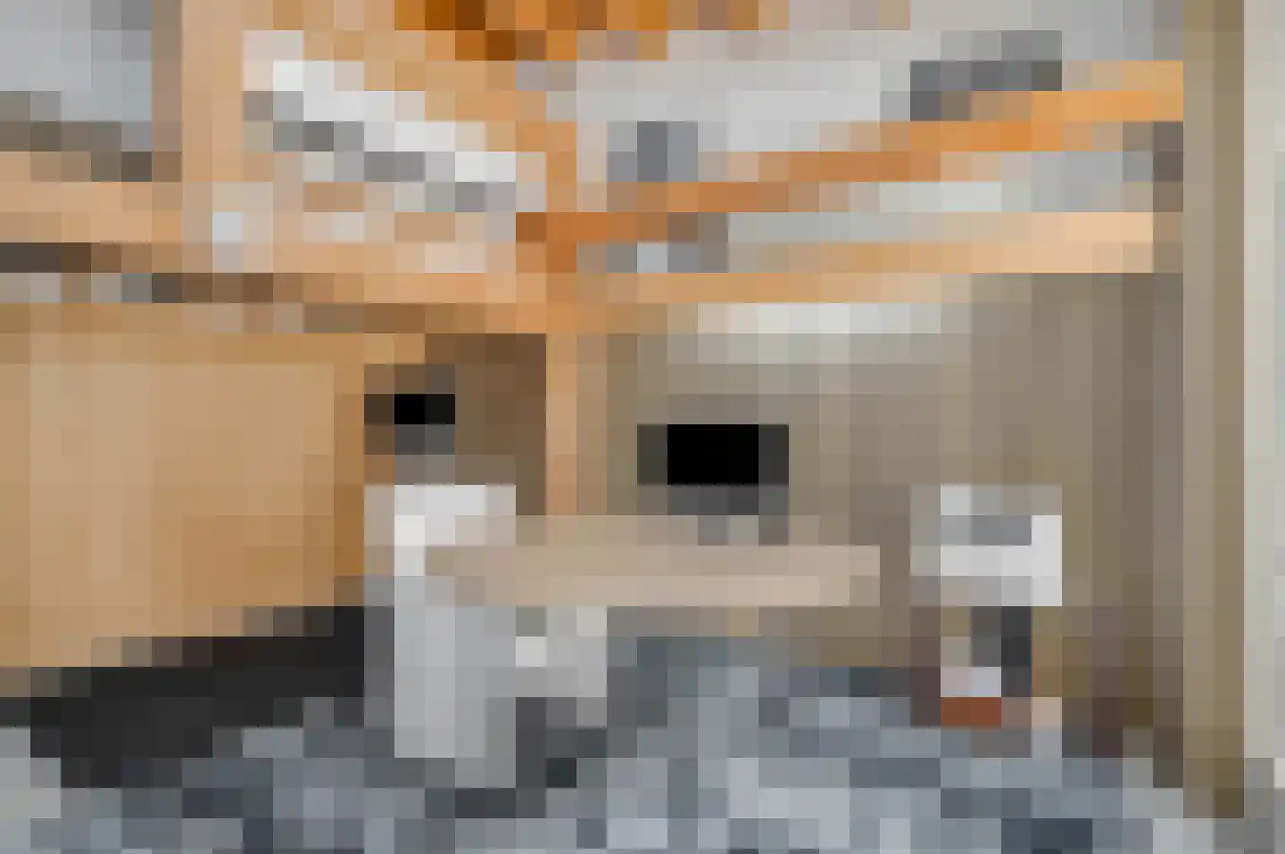 Buurtscheuterlaan 19 Ede thumbnail 18