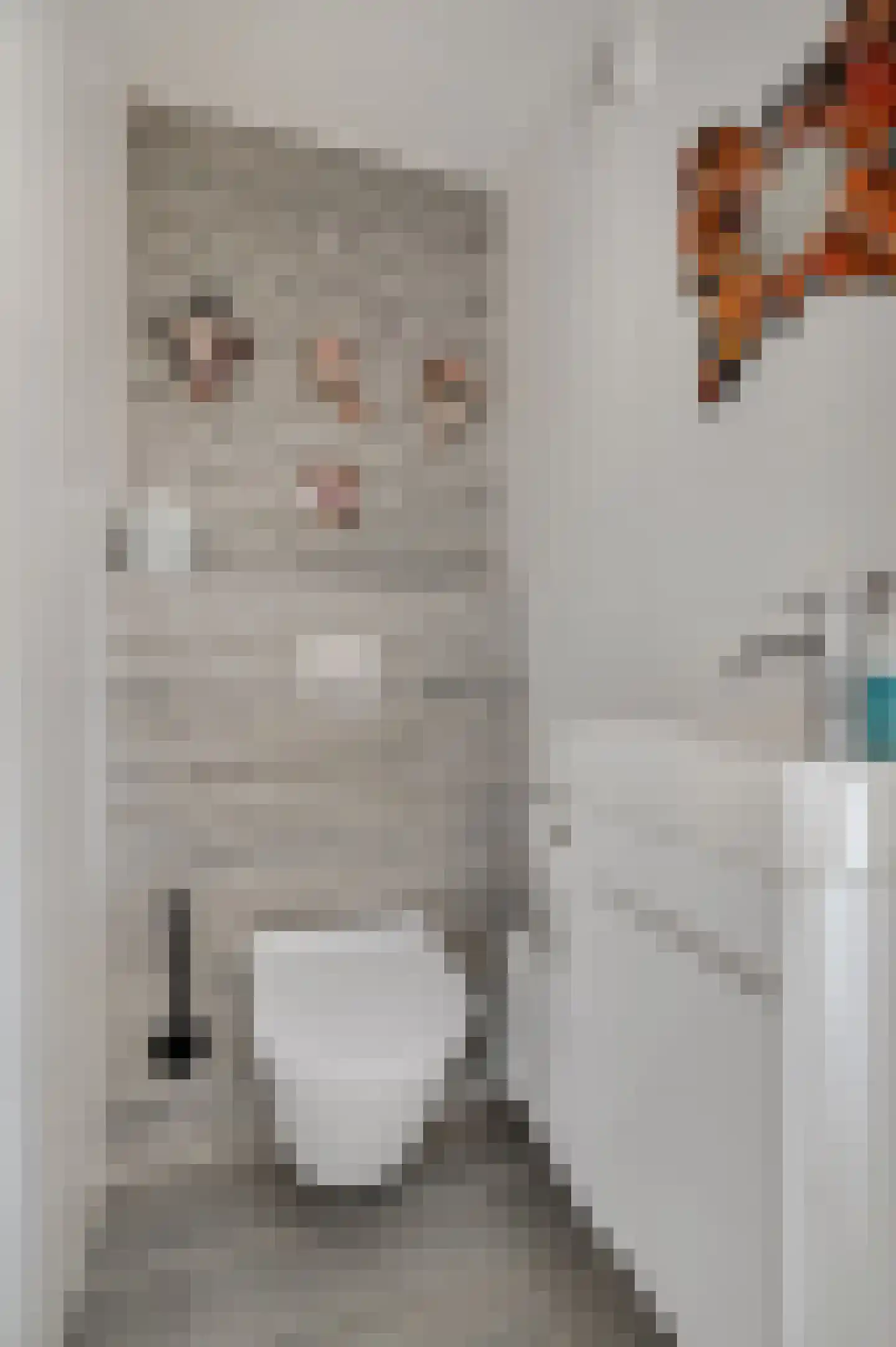 Buurtscheuterlaan 19 Ede thumbnail 20
