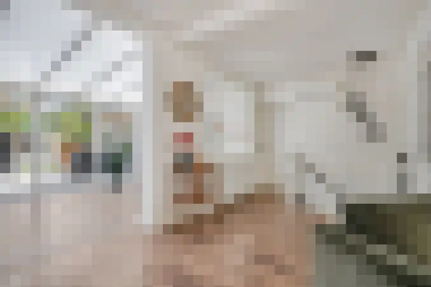 Buurtscheuterlaan 19 Ede thumbnail 21