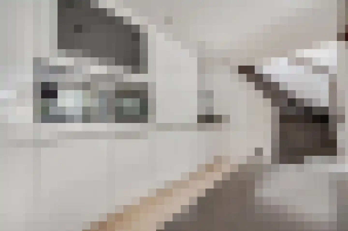 Buurtscheuterlaan 19 Ede thumbnail 22