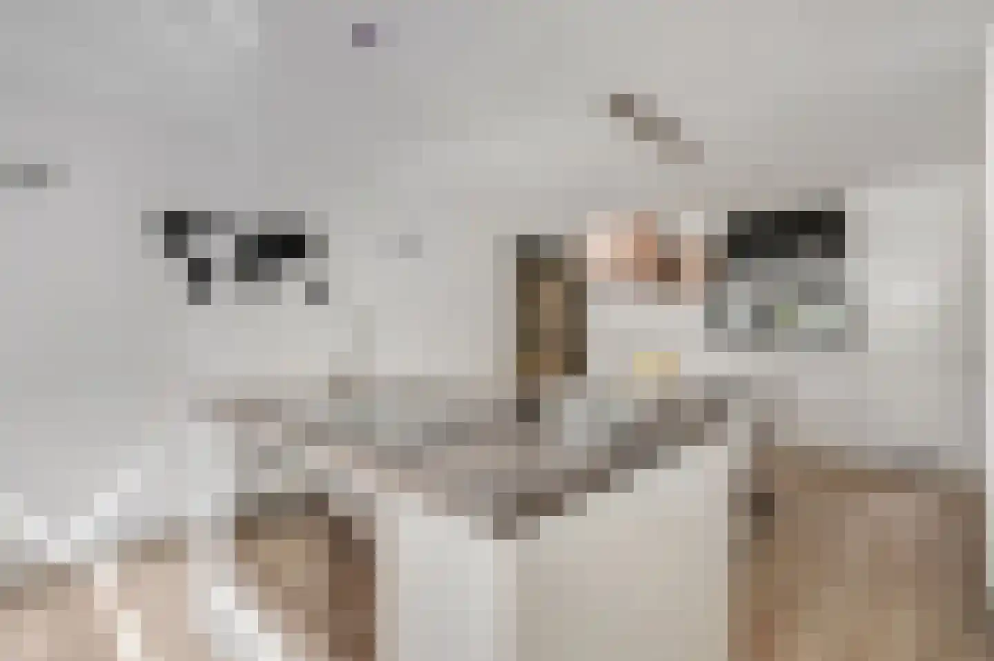 Buurtscheuterlaan 19 Ede thumbnail 25