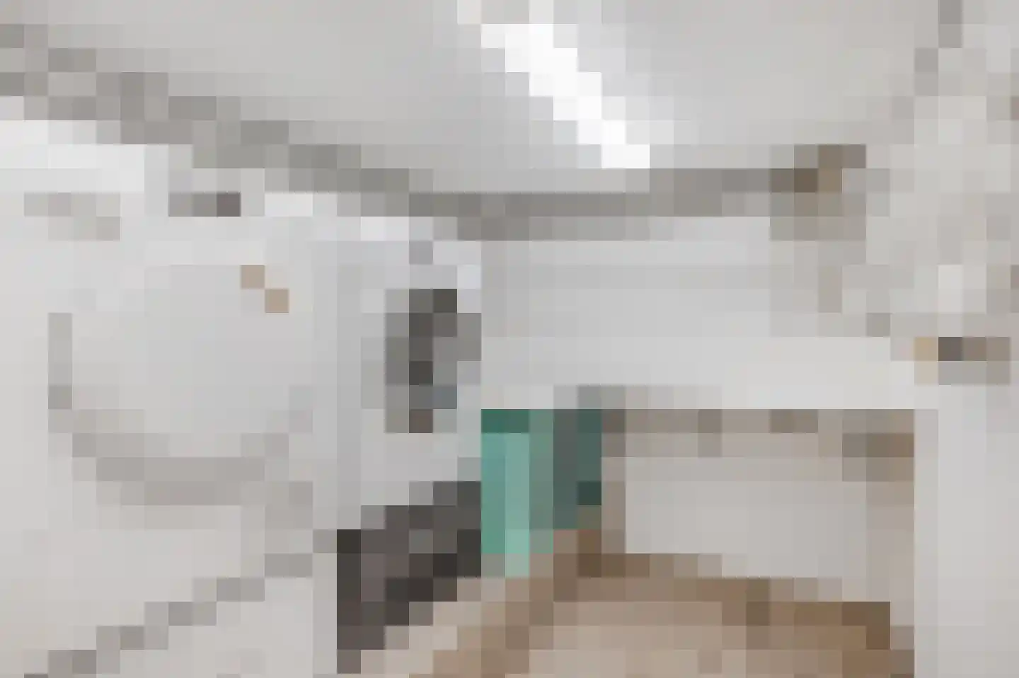 Buurtscheuterlaan 19 Ede thumbnail 30