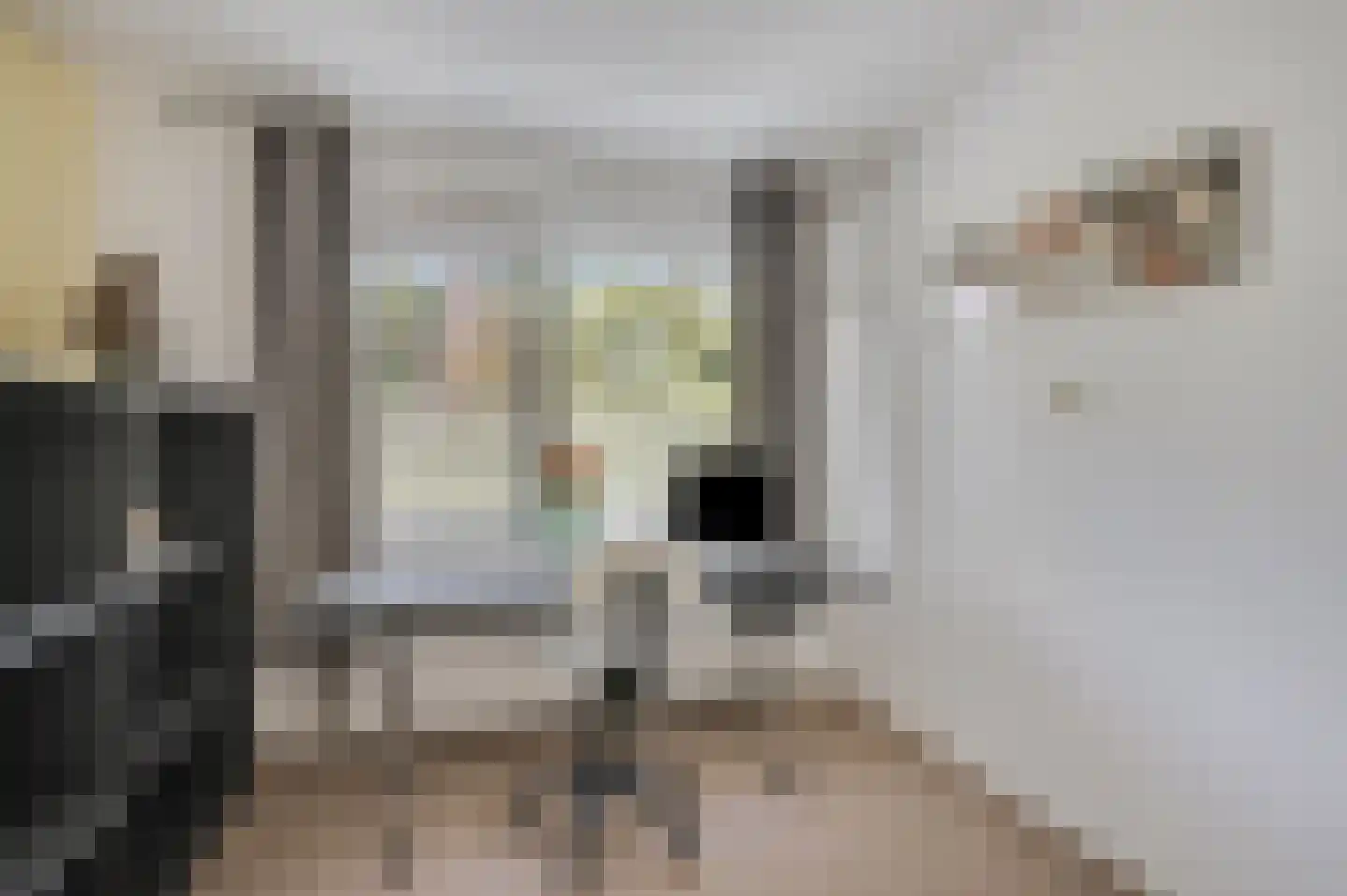 Buurtscheuterlaan 19 Ede thumbnail 37