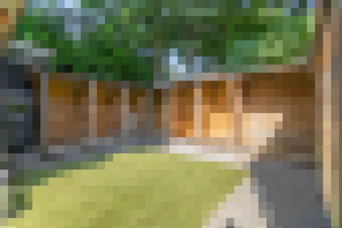 Buurtscheuterlaan 19 Ede thumbnail 47