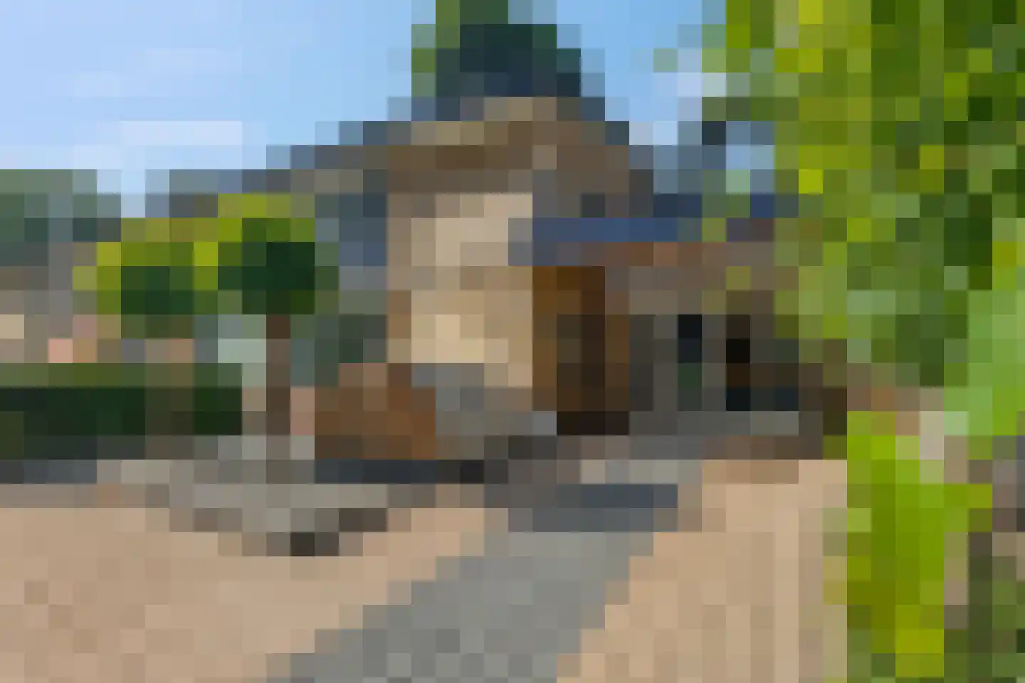 Buurtscheuterlaan 19 Ede thumbnail 53
