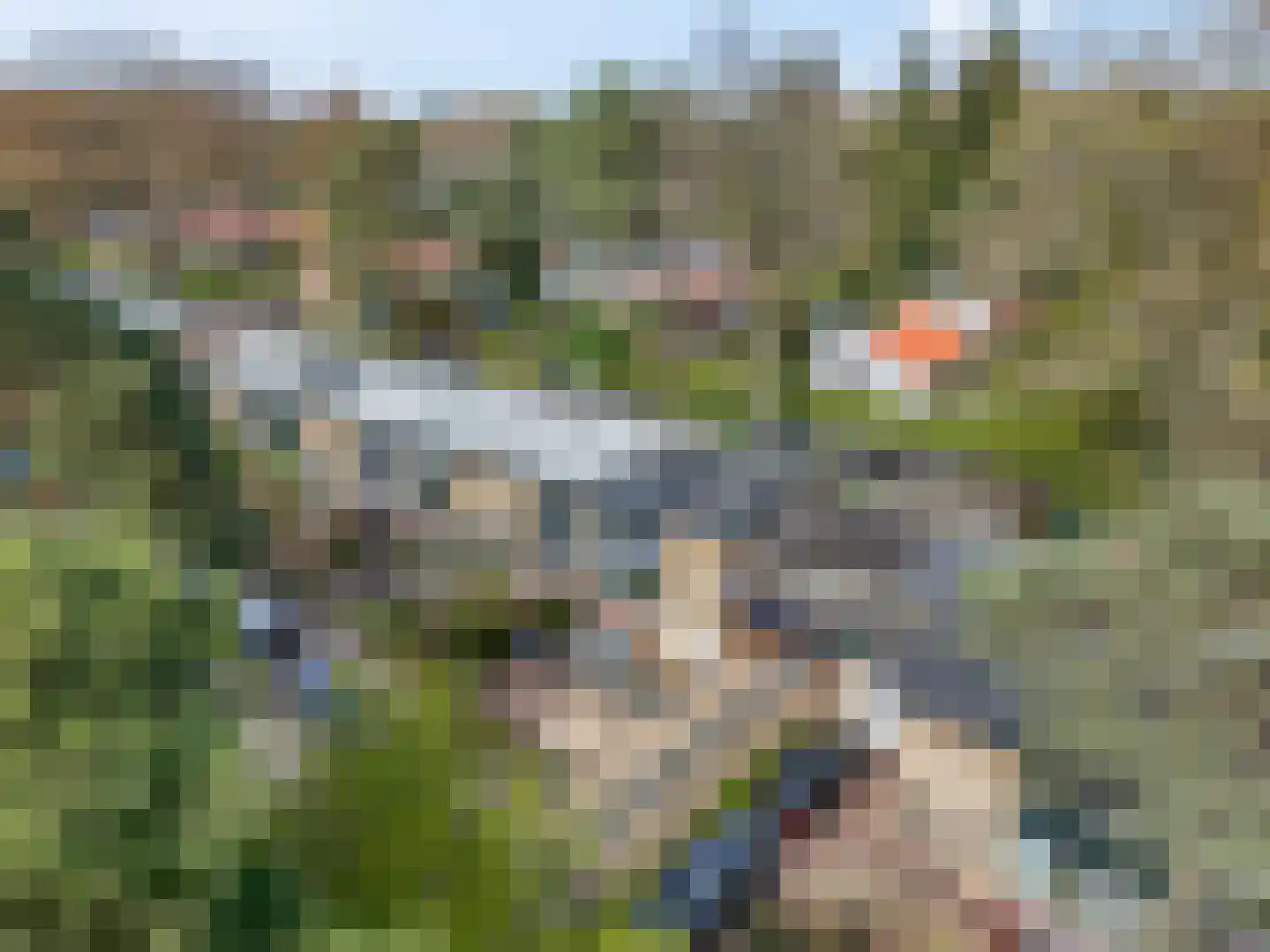 Buurtscheuterlaan 19 Ede thumbnail 57