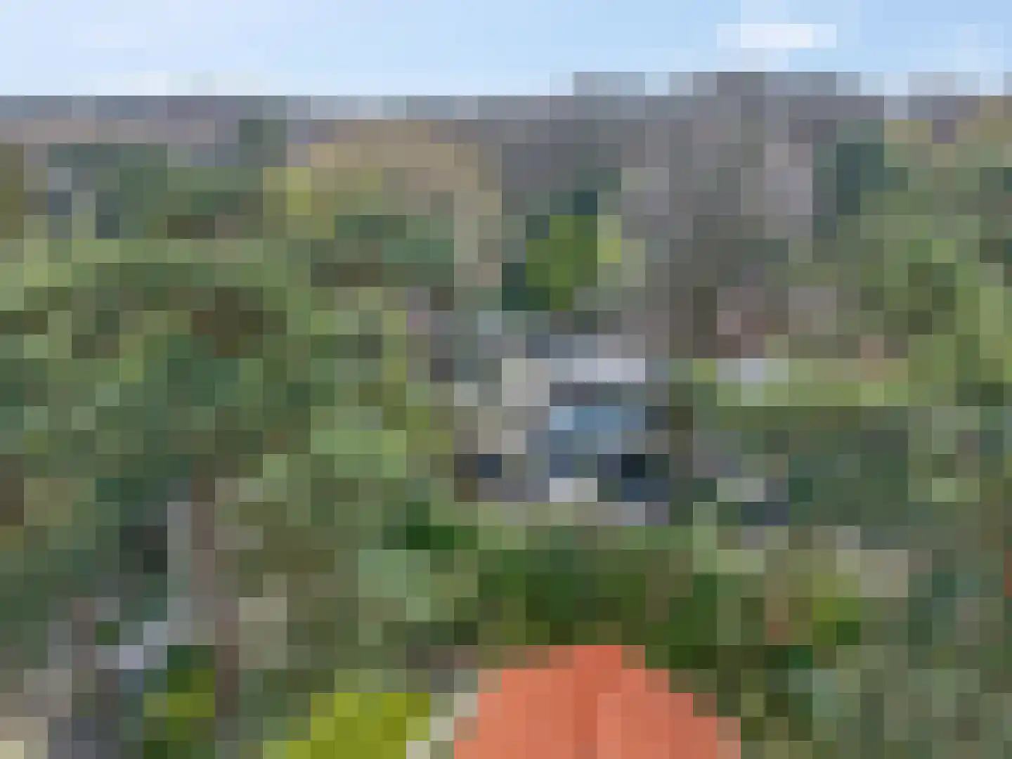 Buurtscheuterlaan 19 Ede thumbnail 60