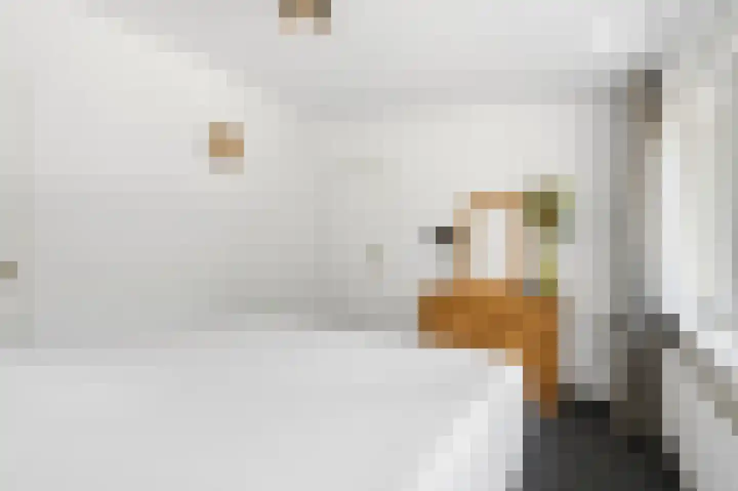 Buurtscheuterlaan 23 Ede thumbnail 22