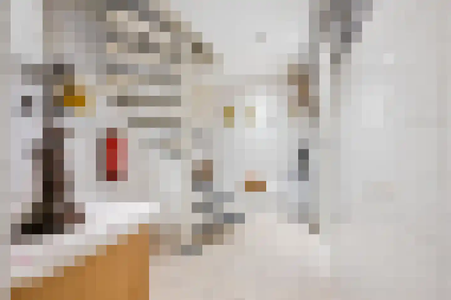 Buurtscheuterlaan 23 Ede thumbnail 30