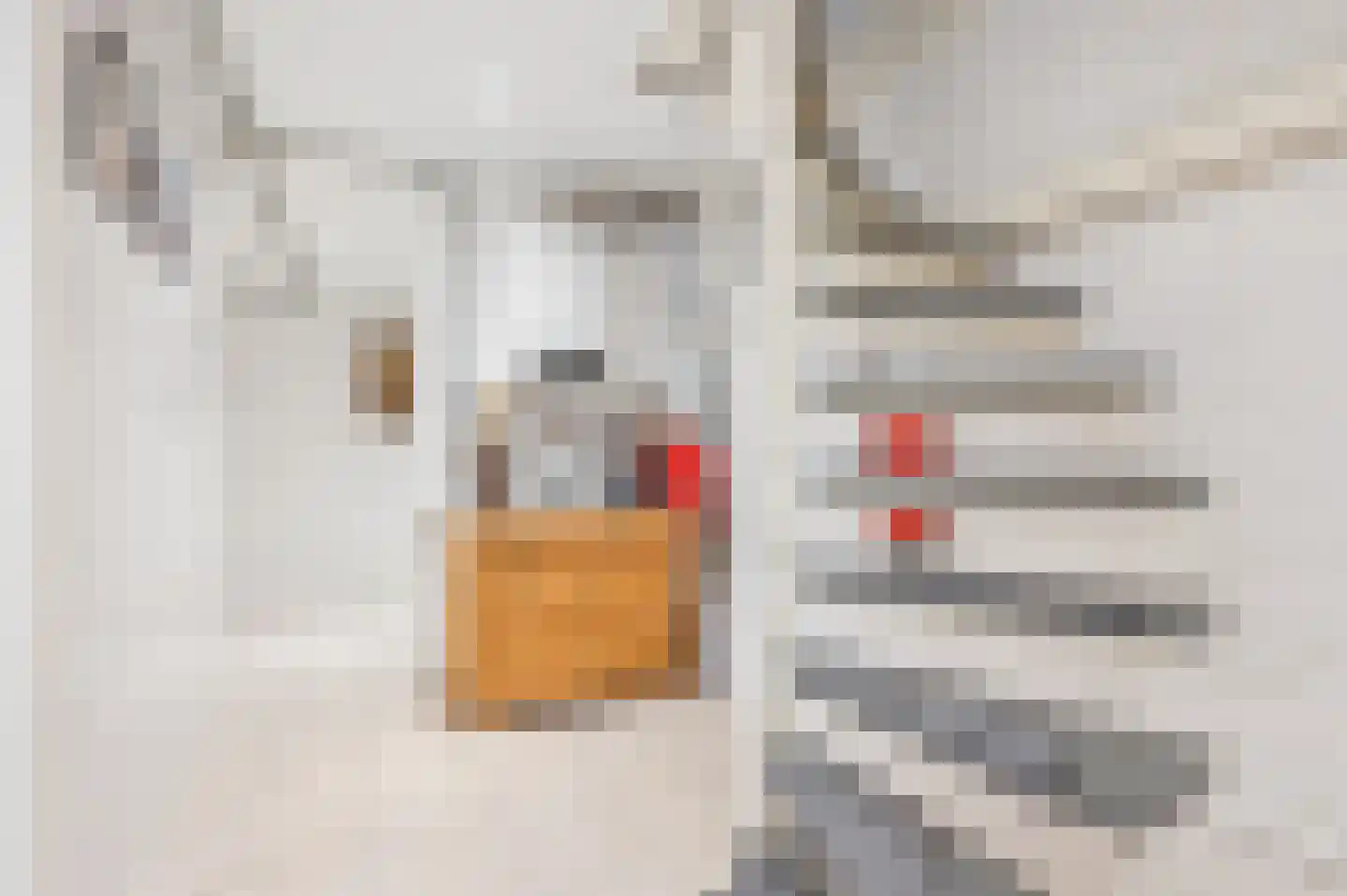 Buurtscheuterlaan 23 Ede thumbnail 31