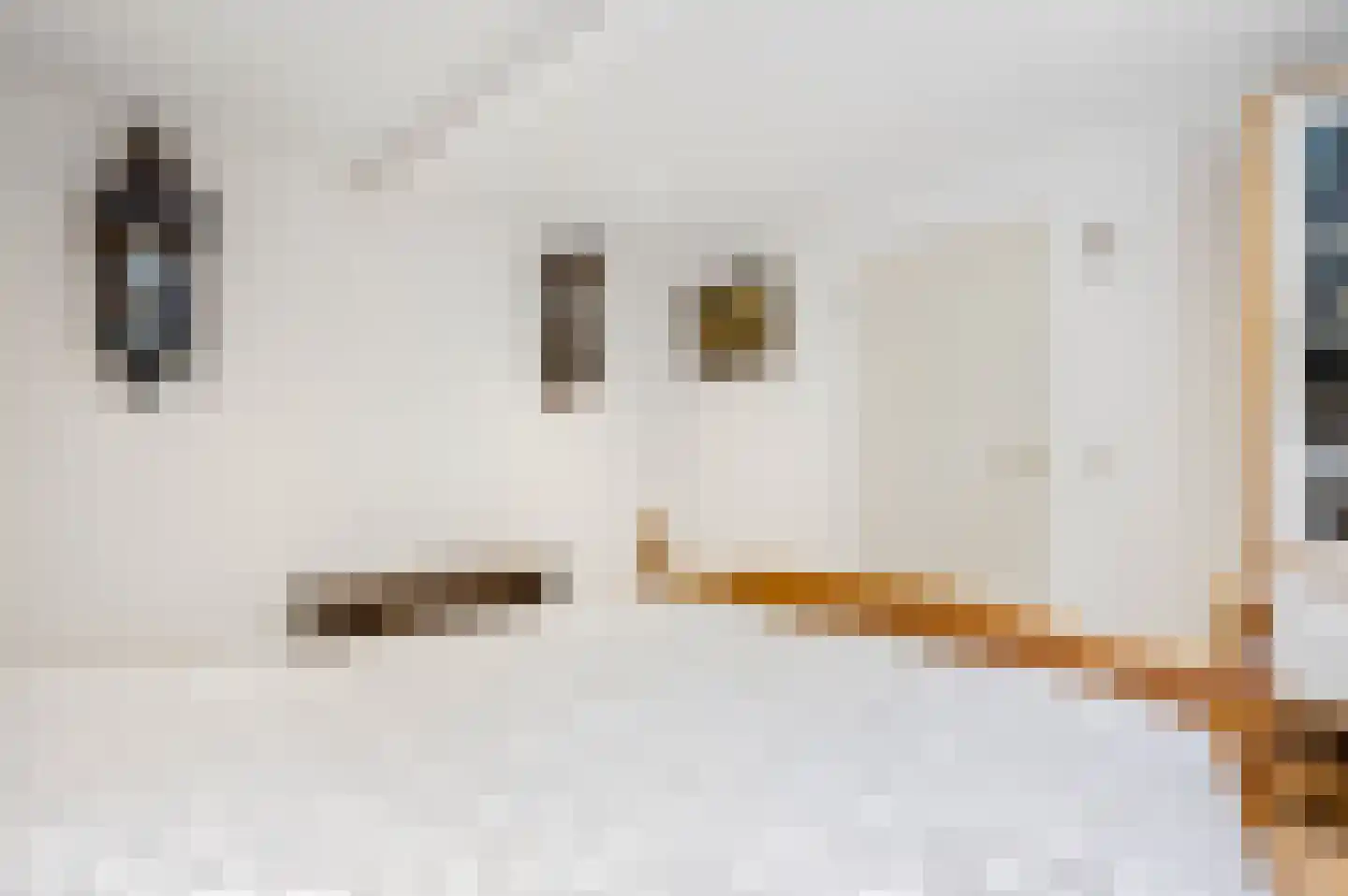 Buurtscheuterlaan 23 Ede thumbnail 36
