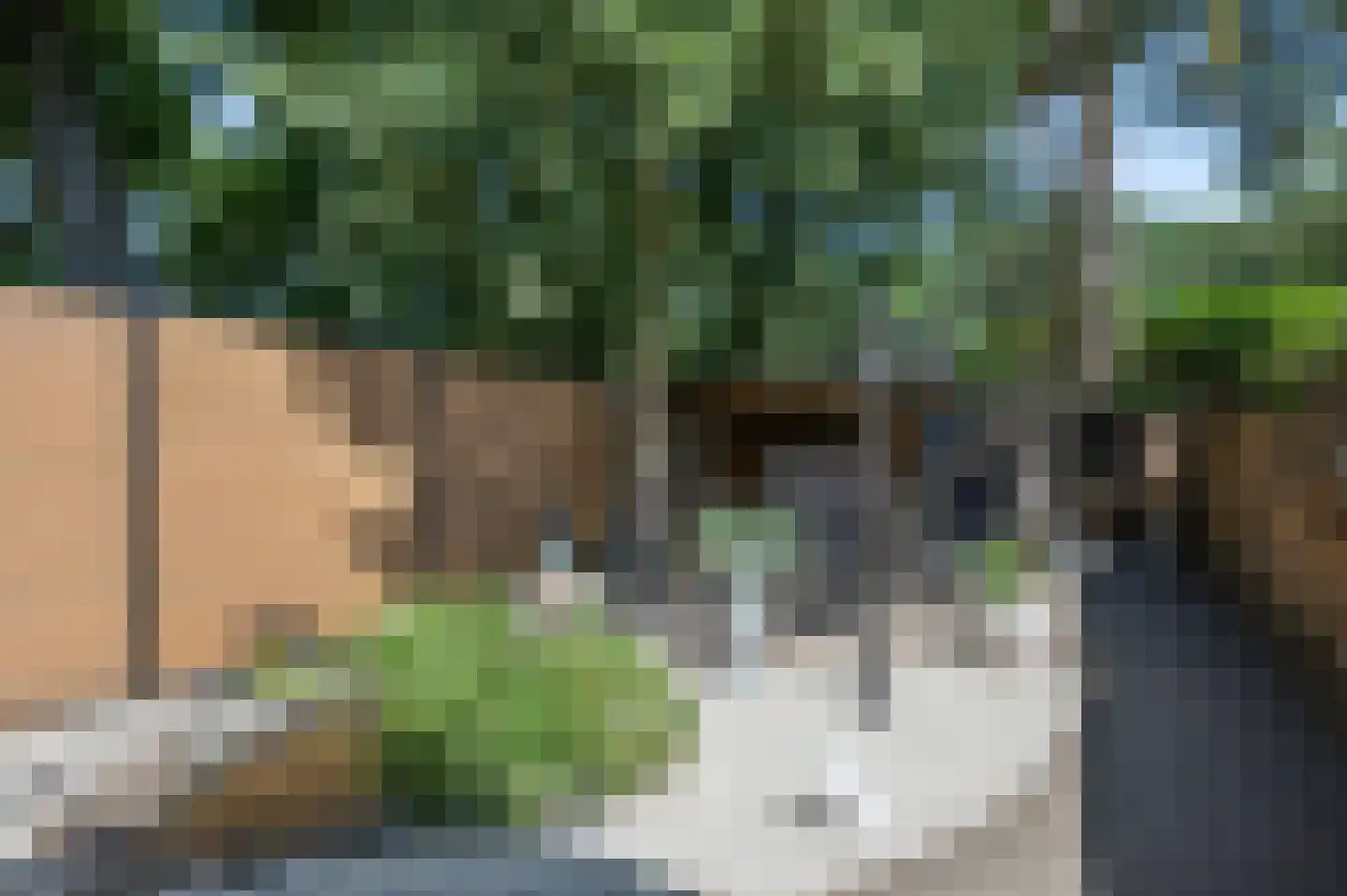 Buurtscheuterlaan 23 Ede thumbnail 37