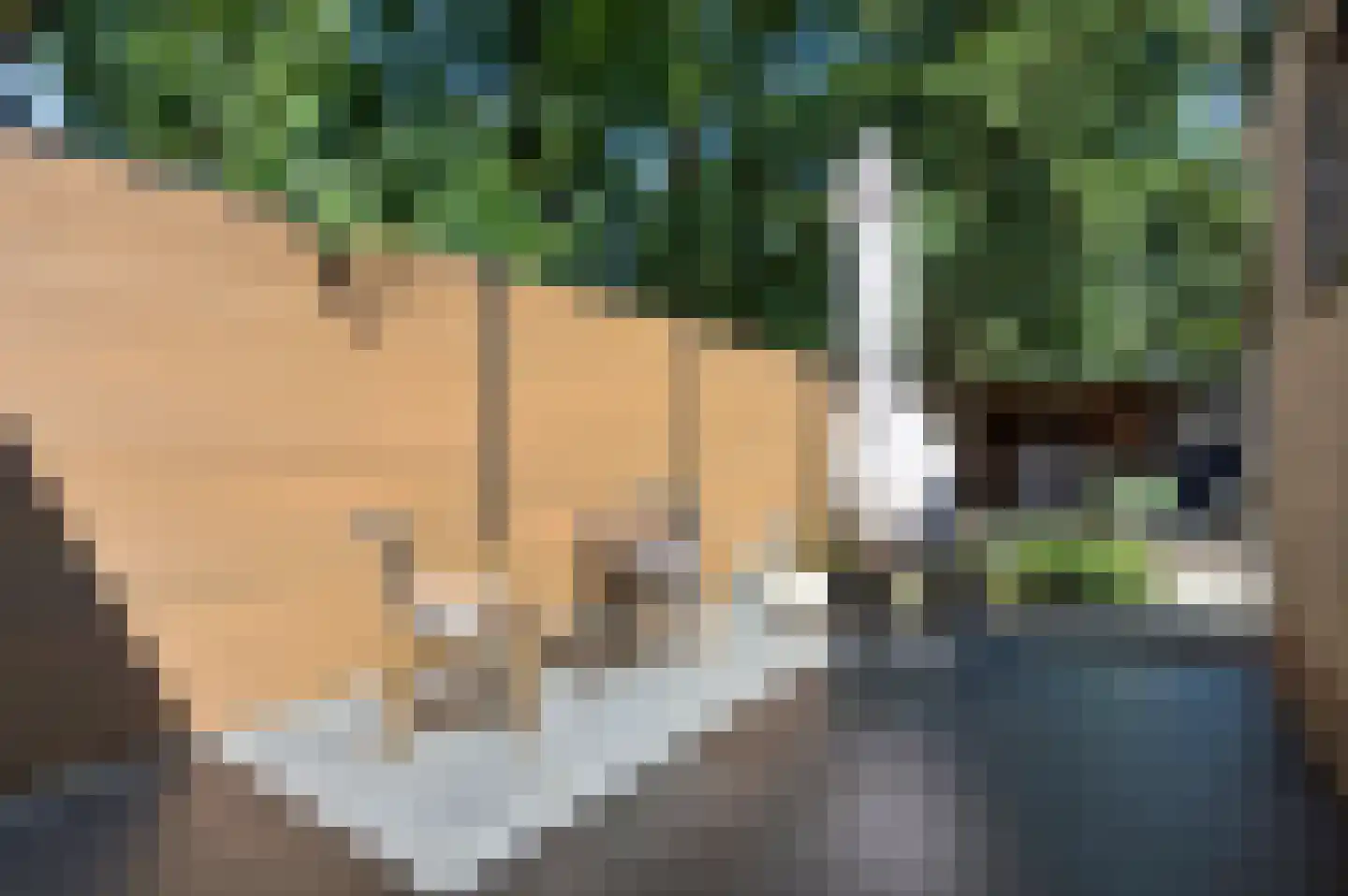 Buurtscheuterlaan 23 Ede thumbnail 38