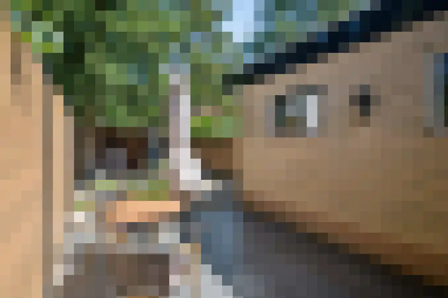 Buurtscheuterlaan 23 Ede thumbnail 39