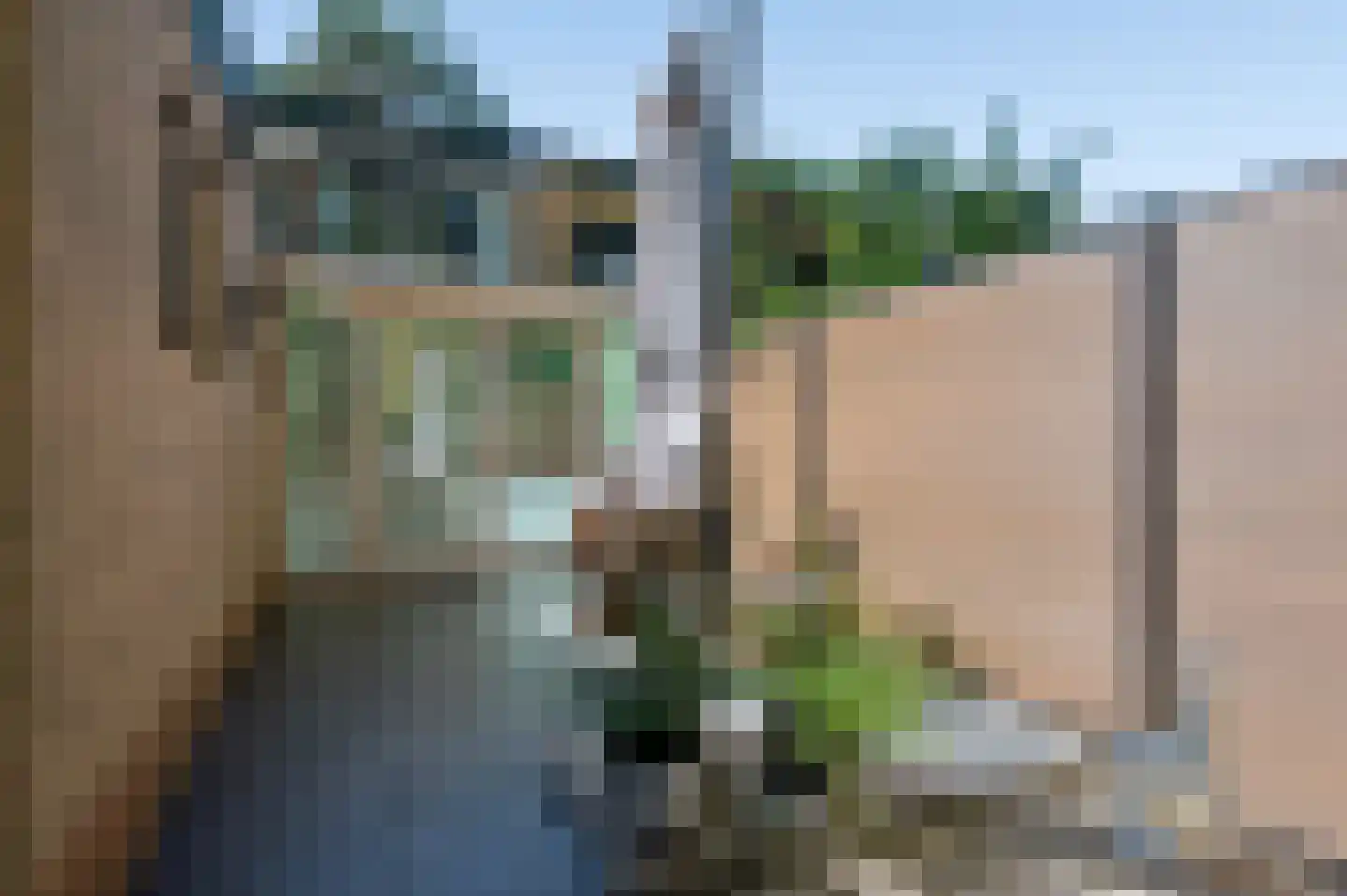 Buurtscheuterlaan 23 Ede thumbnail 43
