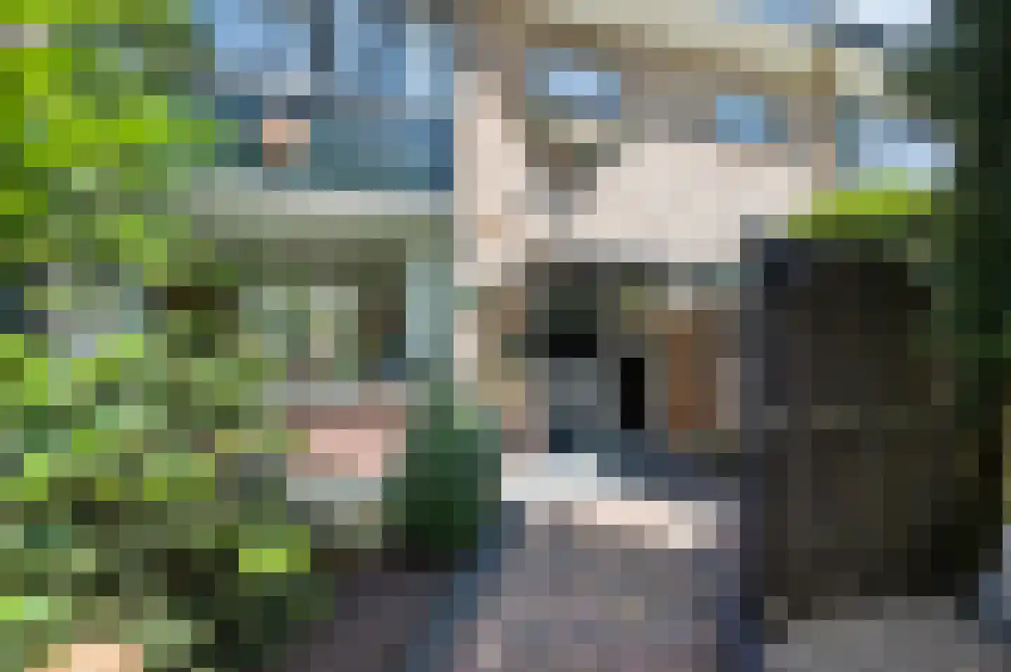 Buurtscheuterlaan 23 Ede thumbnail 44