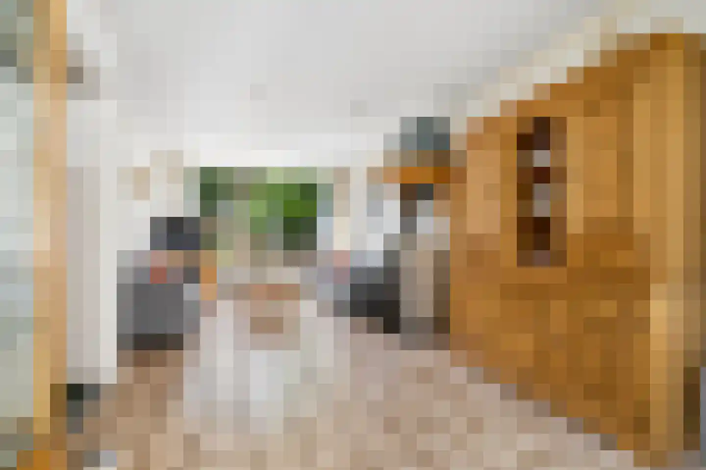 Buurtscheuterlaan 23 Ede thumbnail 6