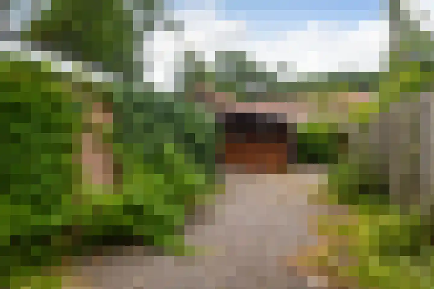 Buurtscheuterlaan 3 Ede thumbnail 40