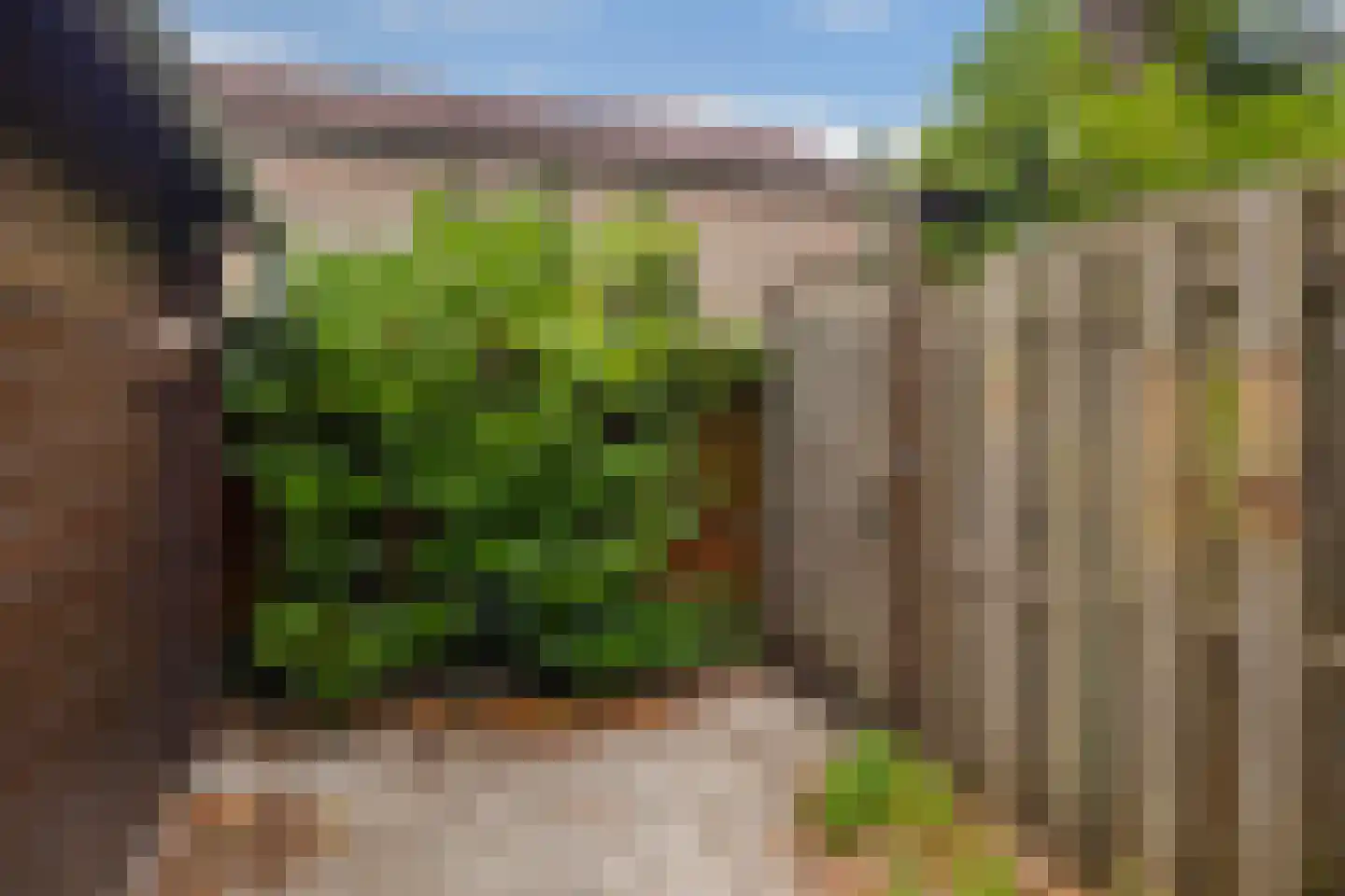 Buurtscheuterlaan 3 Ede thumbnail 43