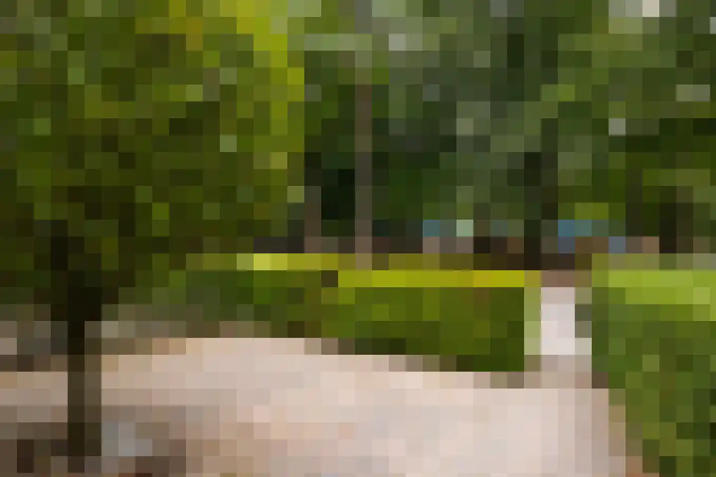 Buurtscheuterlaan 3 Ede thumbnail 47