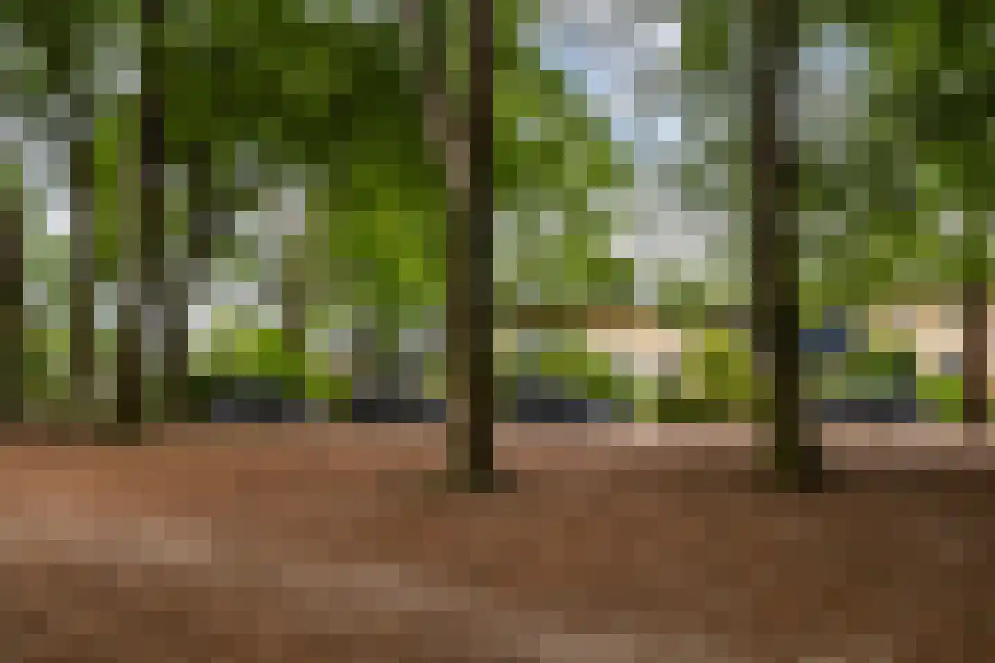 Buurtscheuterlaan 3 Ede thumbnail 48