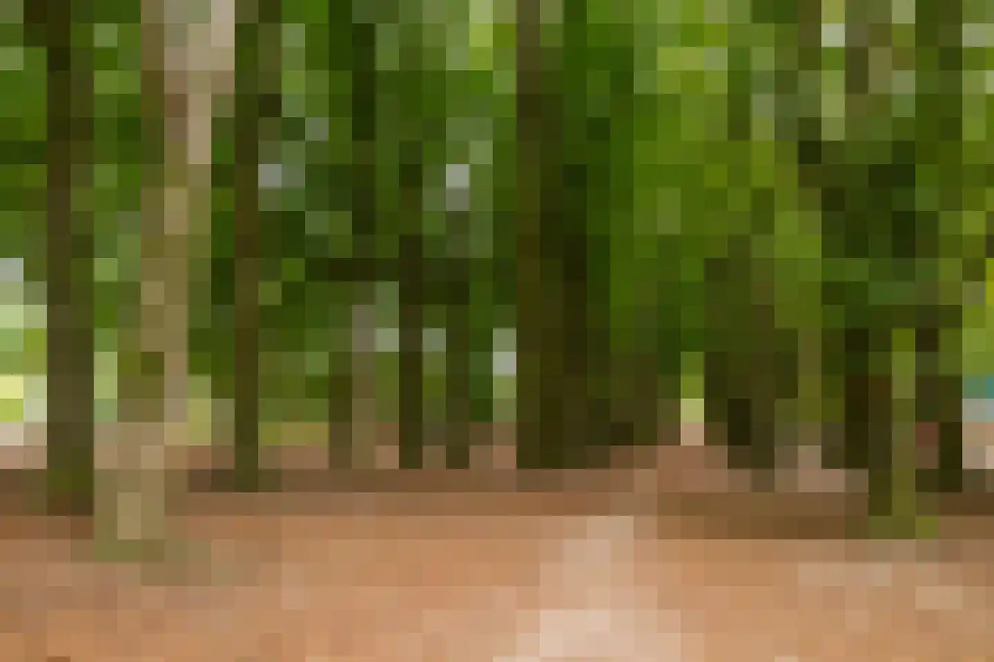 Buurtscheuterlaan 3 Ede thumbnail 49