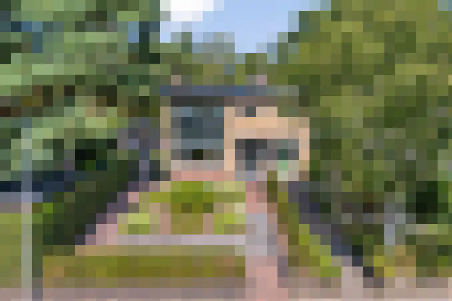 Buurtscheuterlaan 45 Ede